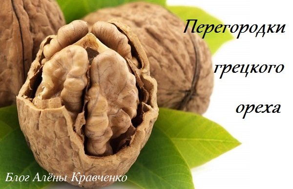 Целебные свойства перегородок грецкого ореха. Лечебные свойства и противопоказания применения перегородок грецких орехов. Использование ореховых средств в лечебных целях.