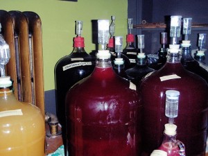 Ставим брагу из жмыха яблок. Самогон из яблочной или виноградной мезги. Самогон из винограда в домашних условиях - как изготовить из домашнего вина