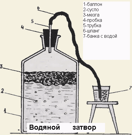 Как сделать виноградное вино с добавлением воды. Виноградное вино в домашних условиях: технология изготовления.