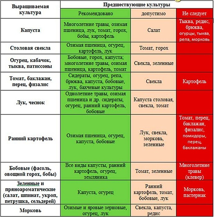 На заметку дачникам: что можно сажать после картофеля. Что посадить после картофеля.