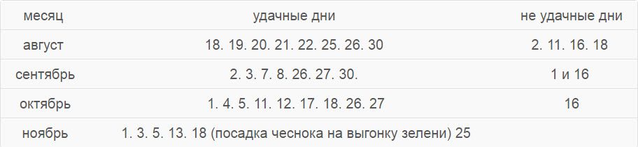 Благоприятные дни для посадки чеснока октябрь. Посадка чеснока под зиму – как и когда