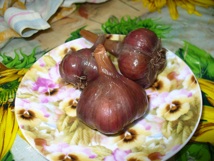 Маринованный чеснок на зиму как на рынке. Чеснок маринованный как на рынке