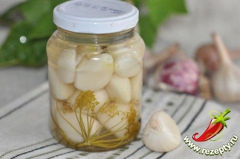 Заготовки из чеснока на зиму, как хранить чеснок зимой. Соленый чеснок на зиму