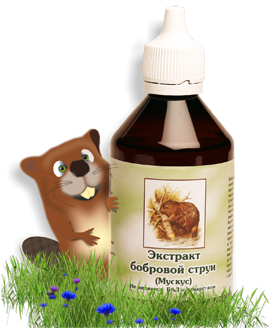 Мускусные железы бобра. Струя бобра - лечебные свойства. Применение струи бобров, отзывы и цены. Как быть в случае, если человеку нельзя вообще принимать спиртное?