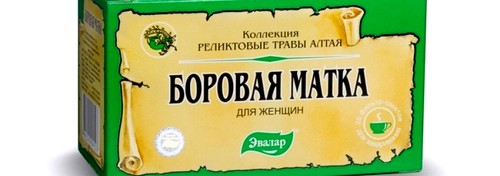 Отвар из красной щетки. Как пить отвар красной щетки.