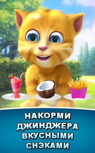 Взломанный джинджер. Взломанный рыжий кот джинджер