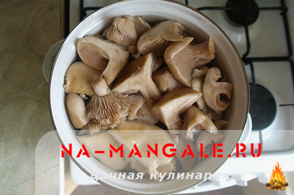 Как заморозить грибы в морозилке на зиму. Жареные грибы на зиму. Можно ли замораживать м олоко.