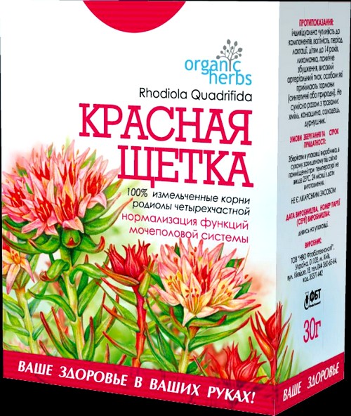 Отвар из красной щетки. Как пить отвар красной щетки.