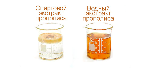 Настойка прополиса на водке – лечебное снадобье.