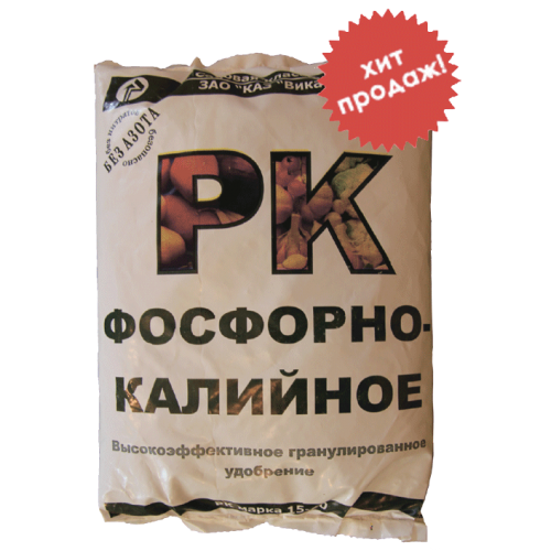 Когда пересаживают облепиху осенью. Комплексный уход – полив, внесение удобрений. Пересадка взрослого растения.