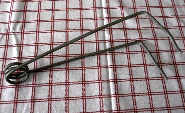 На какой год плодоносит облепиха после посадки. Облепиха: посадка и выращивание.