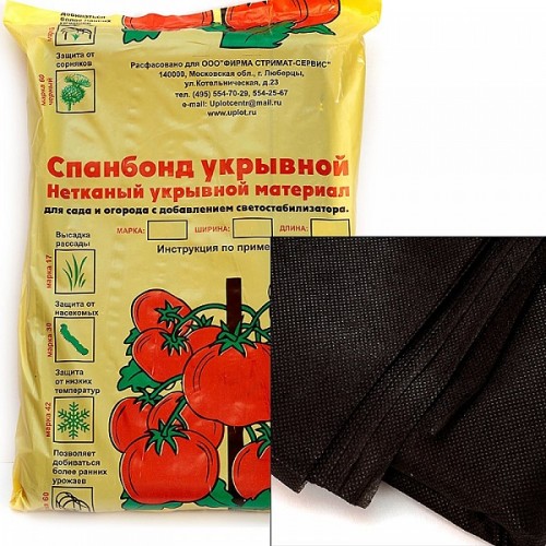 Как подрезать крыжовник осенью. Подготовка крыжовника к зиме: укрытие и подкормка на зиму