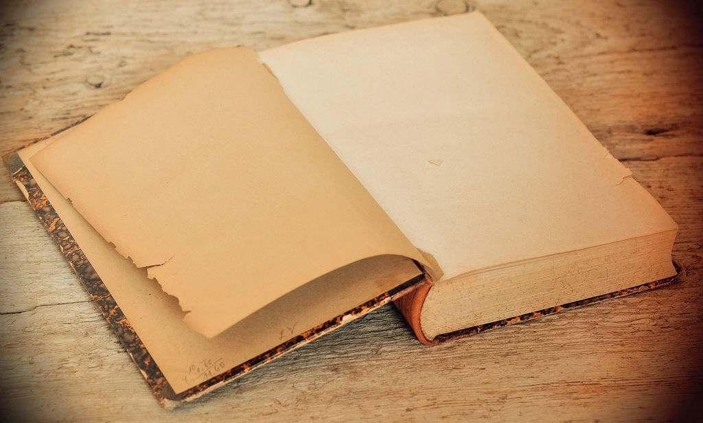 Pravidlá bývania v obecnom byte: právo, práva a povinnosti obyvateľov, spoločné priestory, hostia a susedia. Ako je rozdelený spoločný majetok v spoločnom byte? Bezplatné online právne poradenstvo vo všetkých právnych otázkach